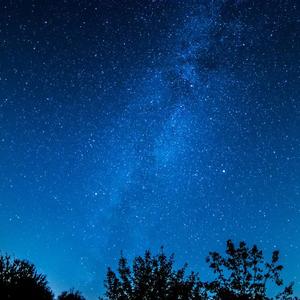 美女搞笑逼逼图
