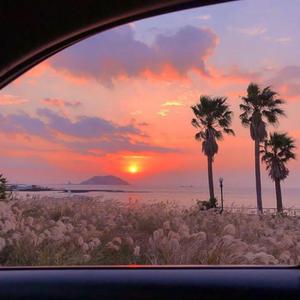 美女搞笑逼逼图
